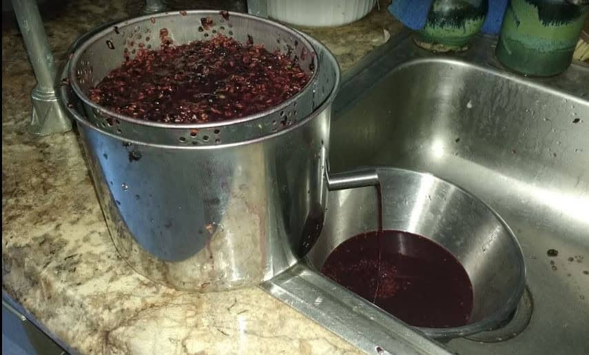 Elderberry Wine