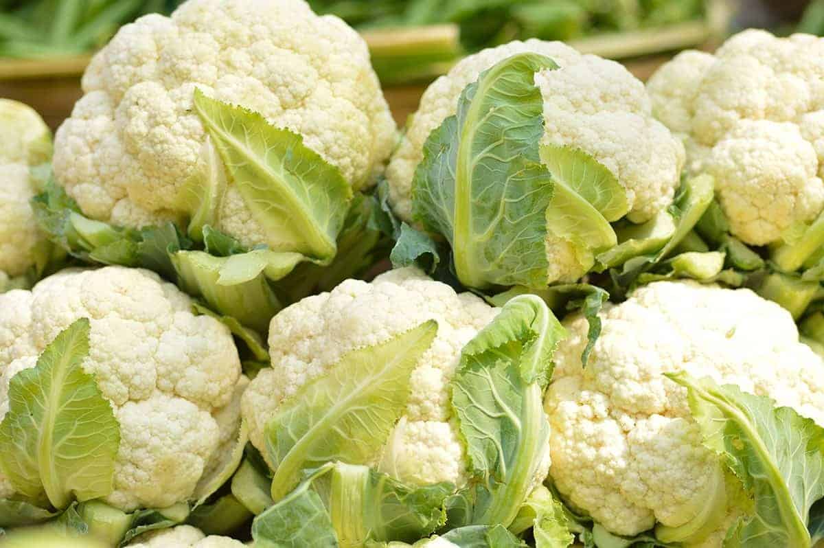 Cauliflower – Ethylene Sensitive