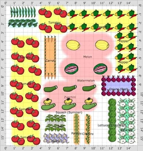 15 x 15 Veggie Garden