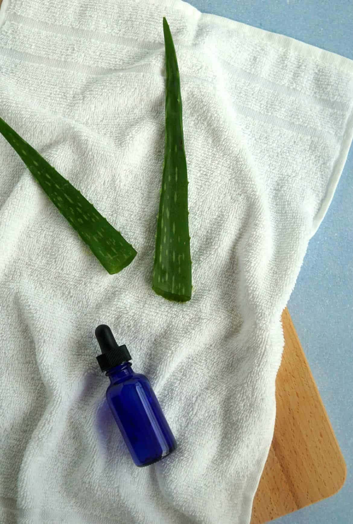 Aloe Vera Zit Zapper