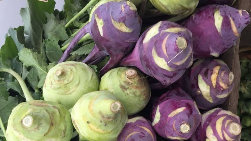 Kohlrabi