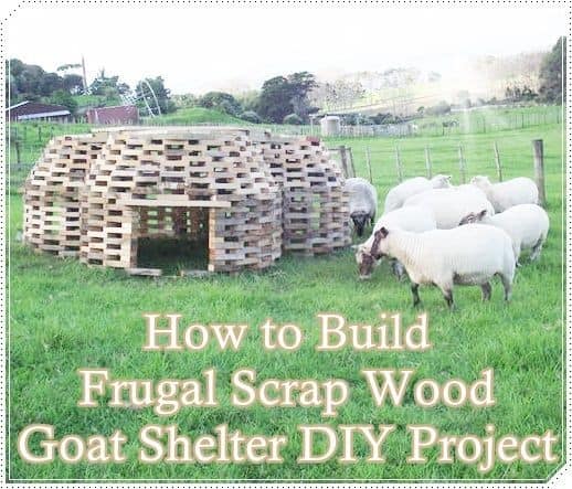 The Frugal Scrap Wood Goat Shelter