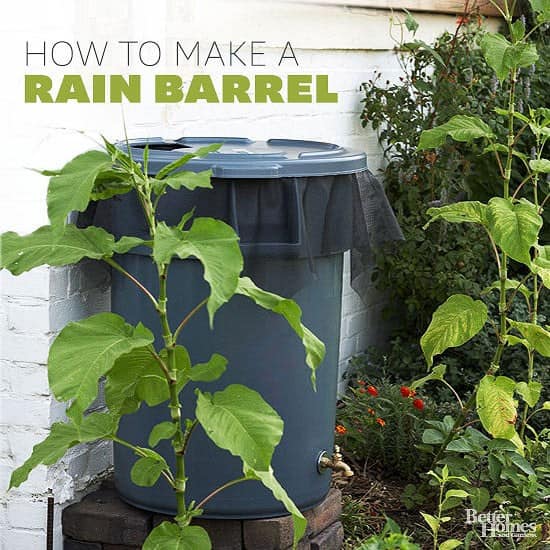 The Better Home DIY Rain Barrel