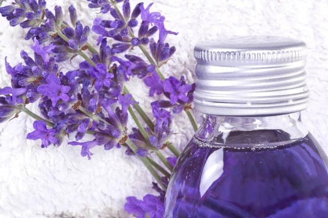 Lavender Bug Repellent