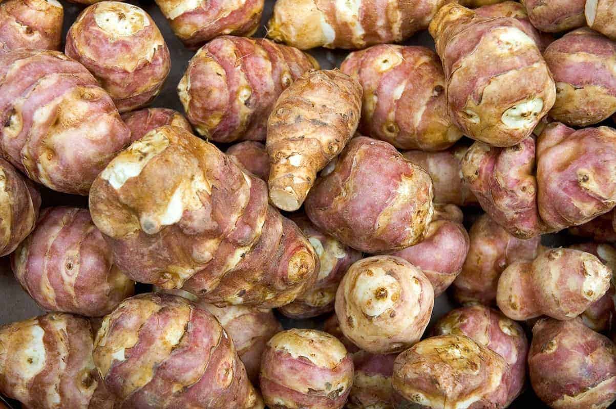 Sunchokes/Jerusalem Artichokes