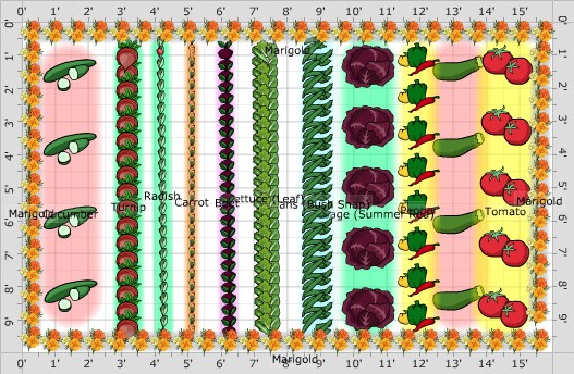 Small Garden Layout