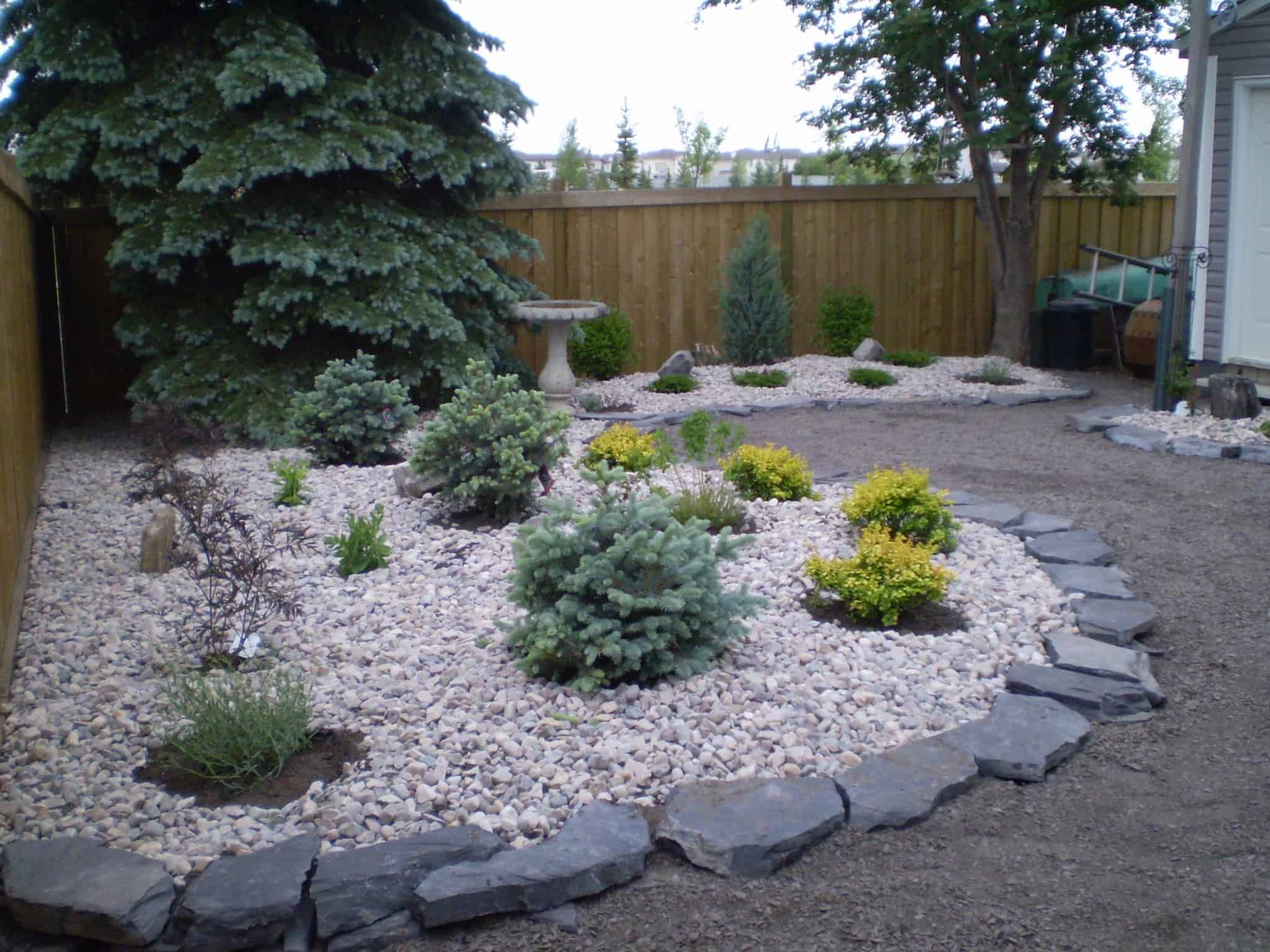 Low Maintenance Rock Garden