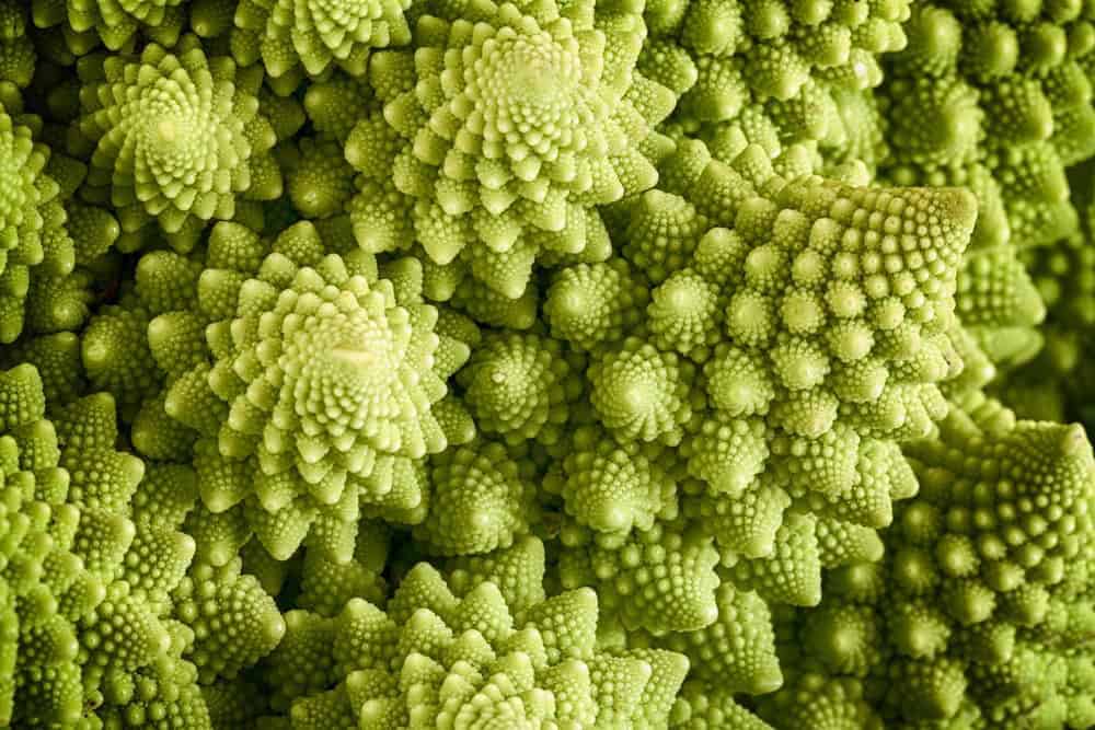 What is Romanesco?