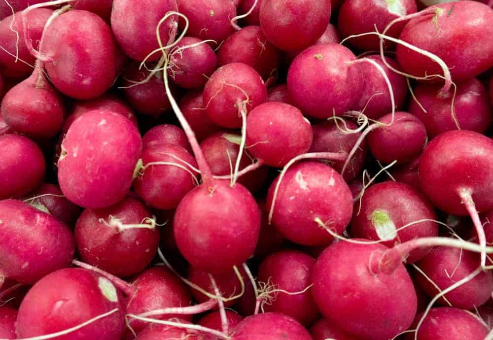 Radishes