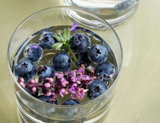 Blueberry Lavendar Infused Water