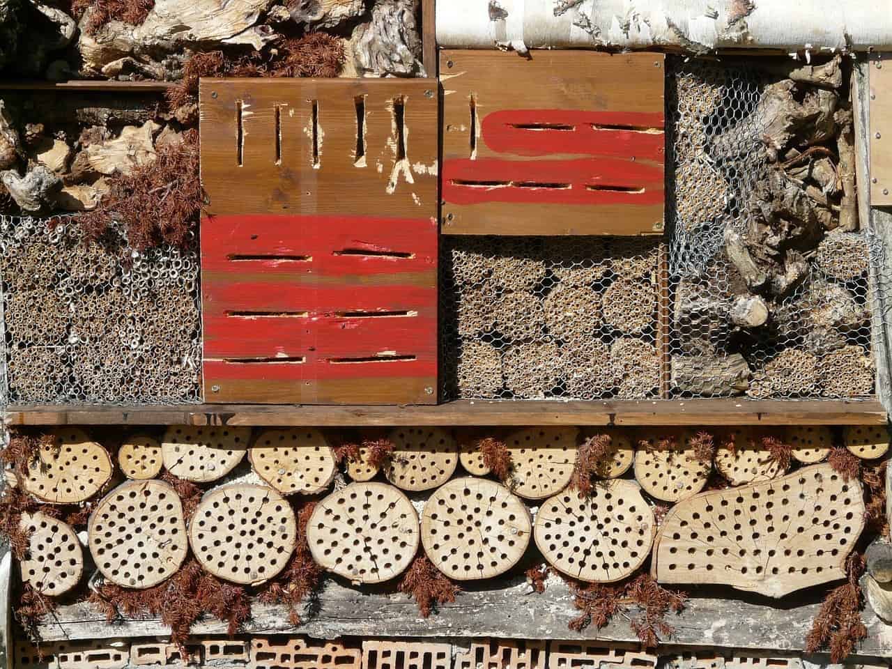 Pallet Bee Hotel