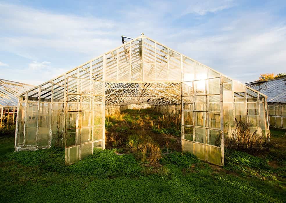 Is it Greenhouse, Hothouse or Cold Frames?