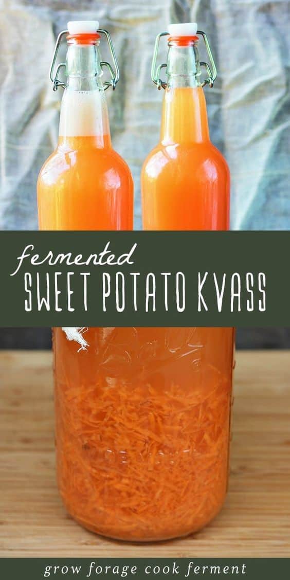 Fermented Sweet Potato Kvass