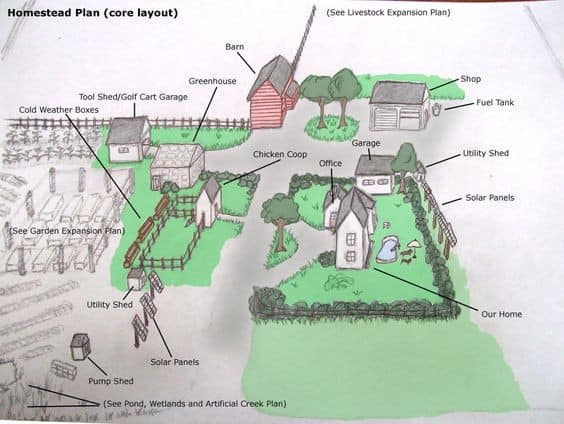 The Homestead Layout