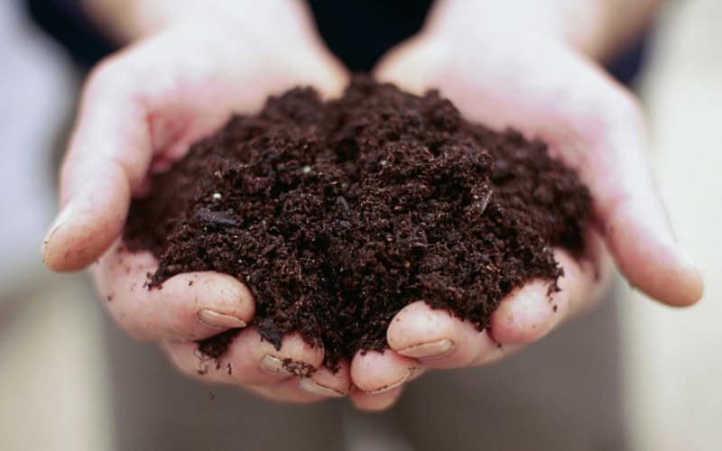 Give Your Soil a Boost