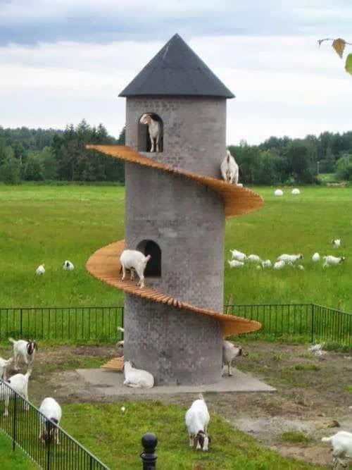 Goat Tower