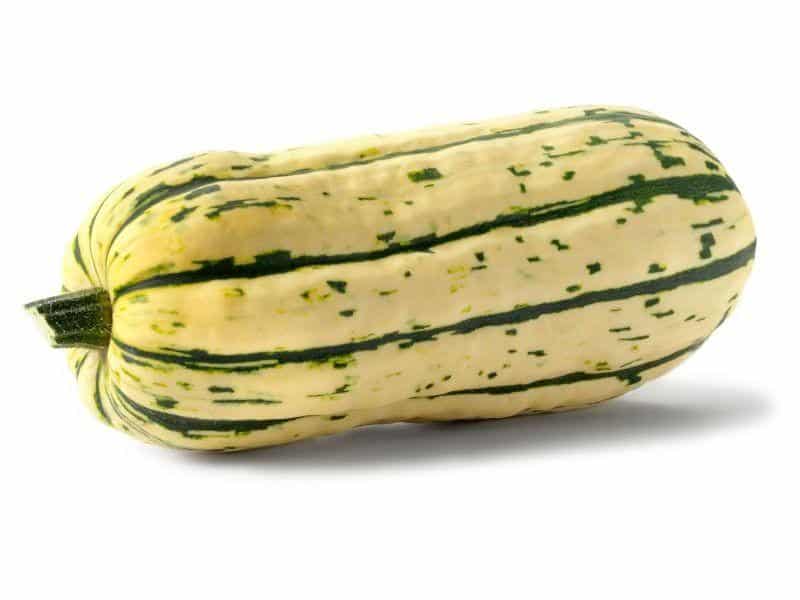 Delicata: