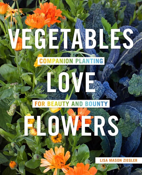 Vegetables Love Flowers by Lisa Mason Ziegler