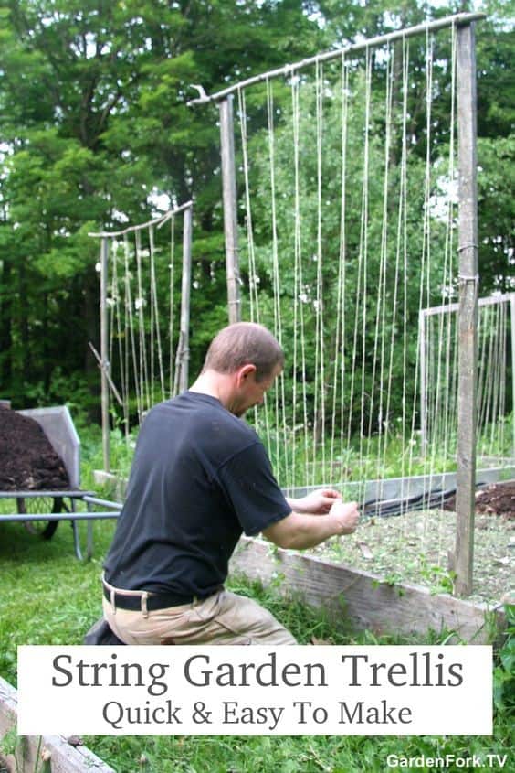 String Garden Trellis