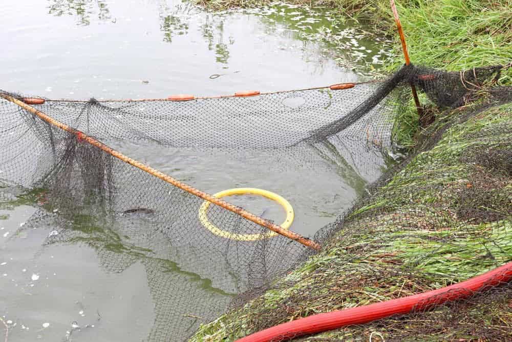 A Note on Floating Fish Cages