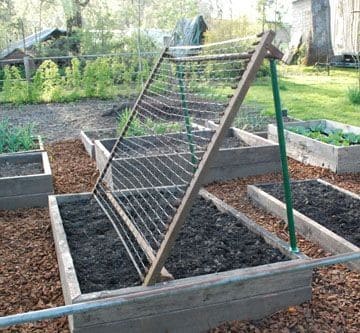 The Perfect Cucumber Trellis