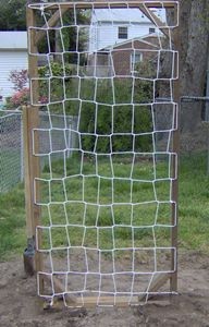 The Simple Cucumber Trellis