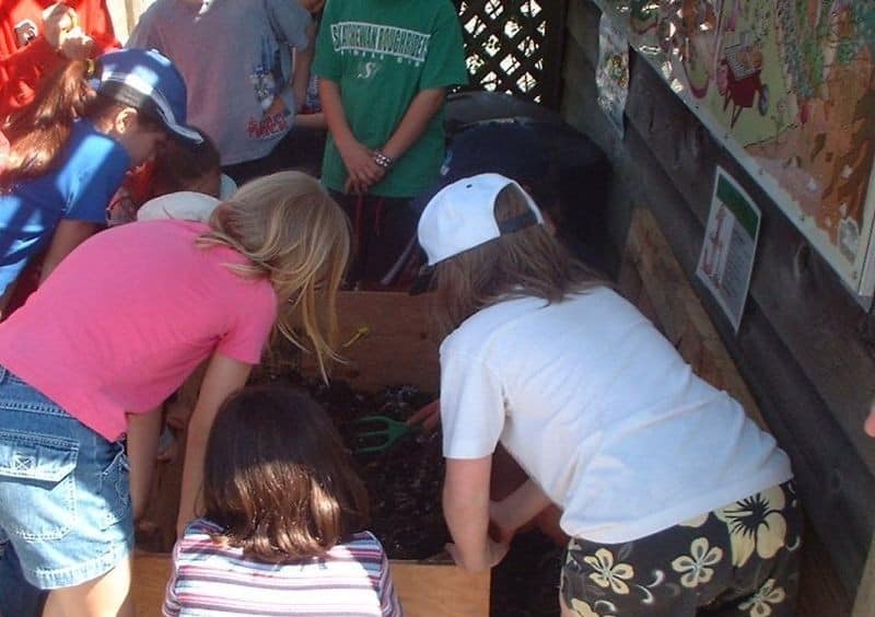 Step One: Make A Simple Worm Bin