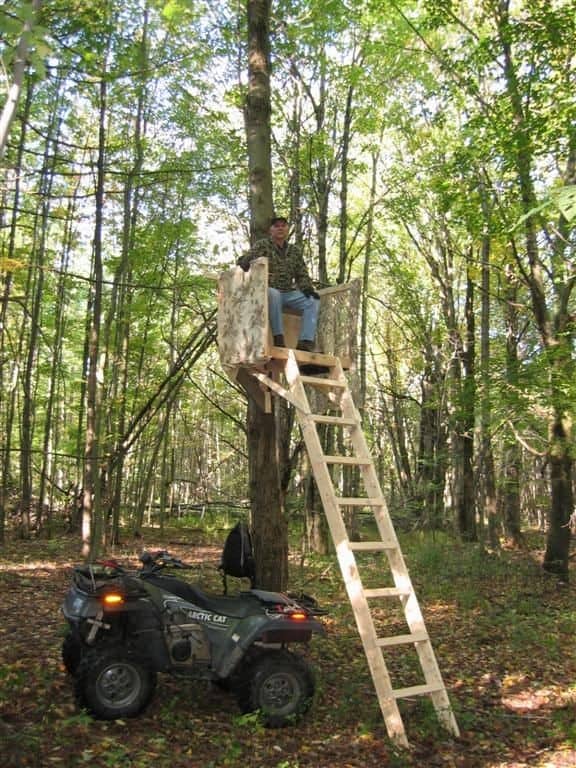 The Smaller Deer Stand