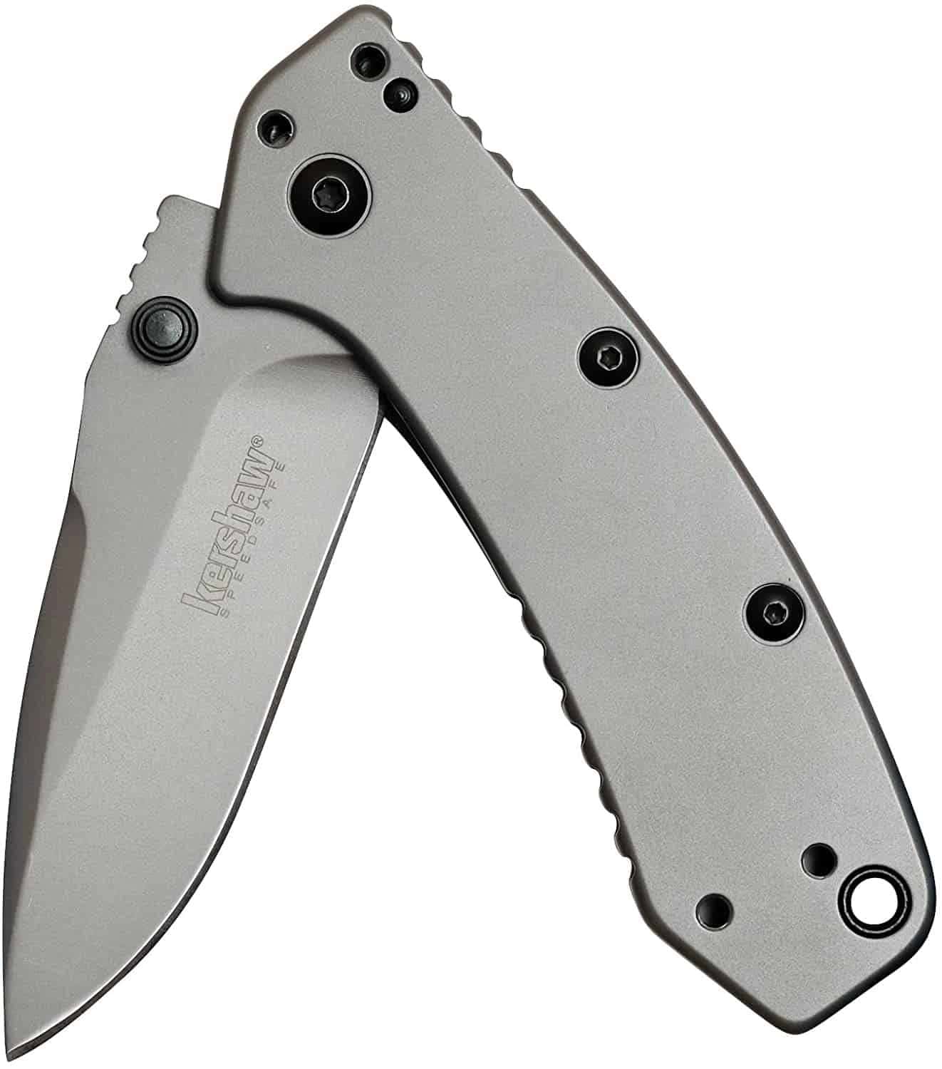 Kershaw Cryo Pocket Knife