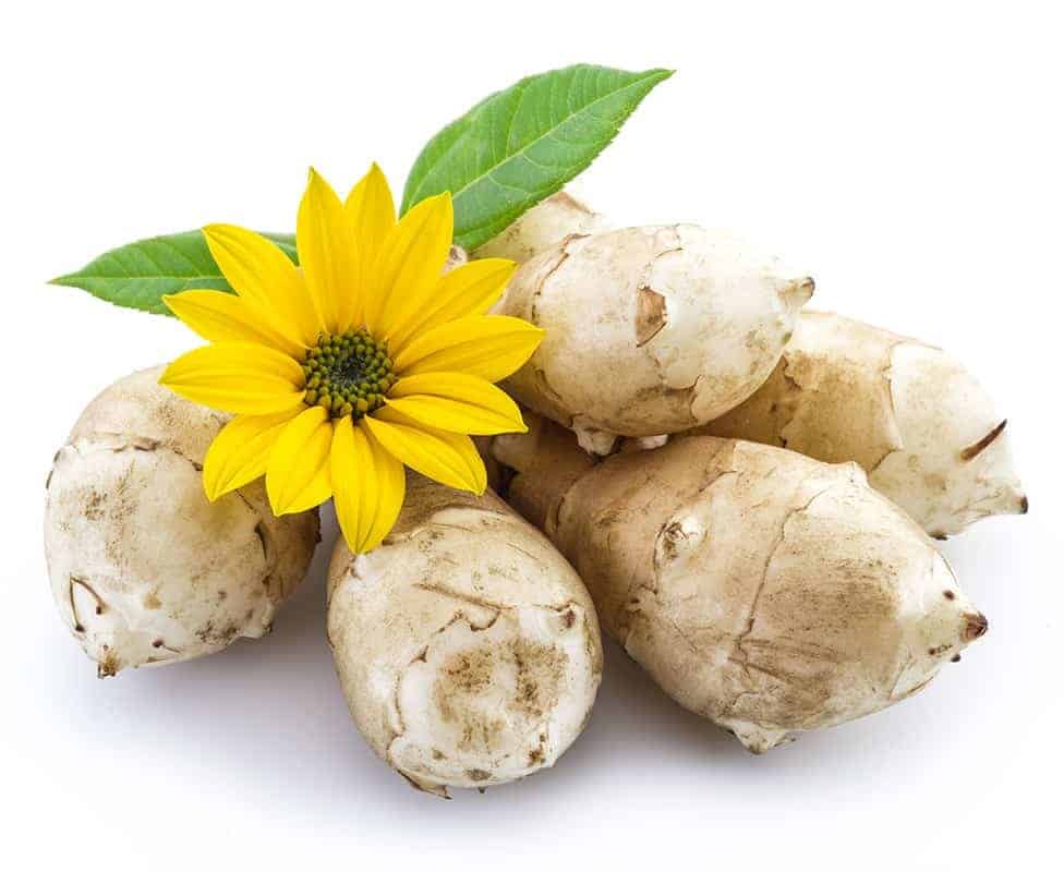 Jerusalem Artichokes (Helianthus tuberosus)