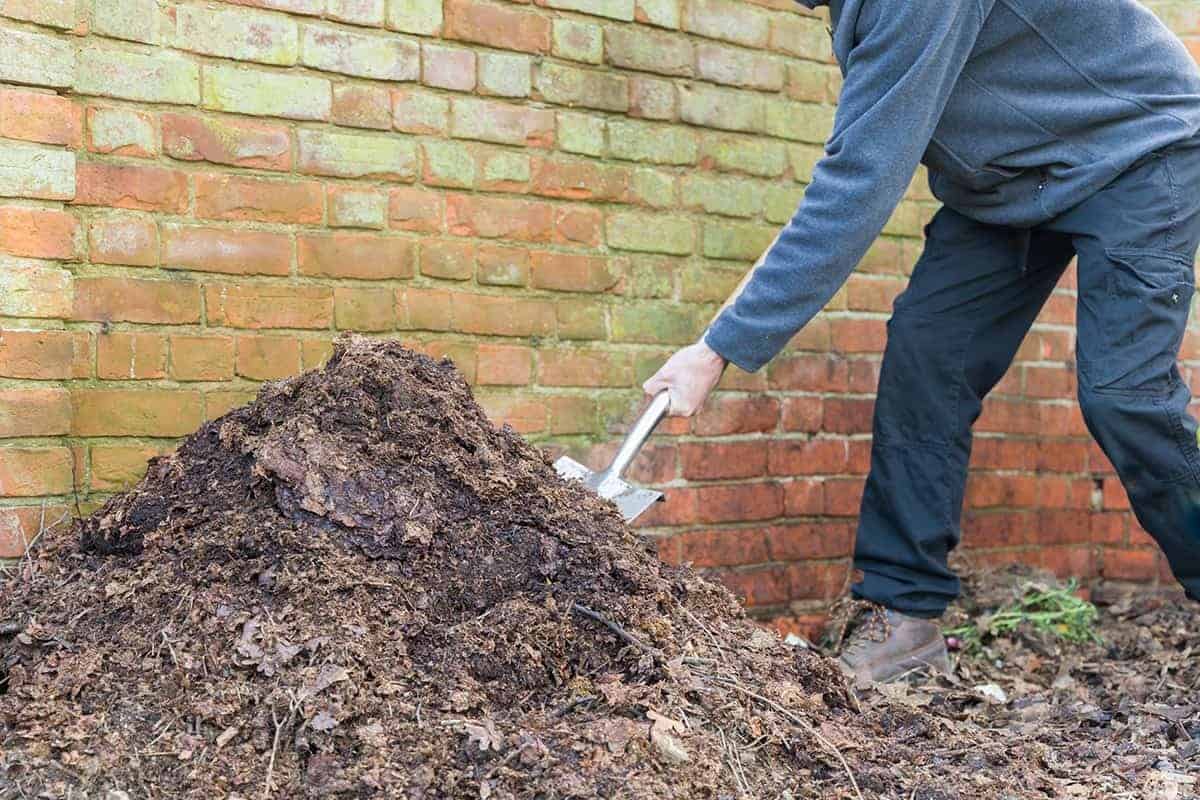 Add Plenty of Compost to the Soil