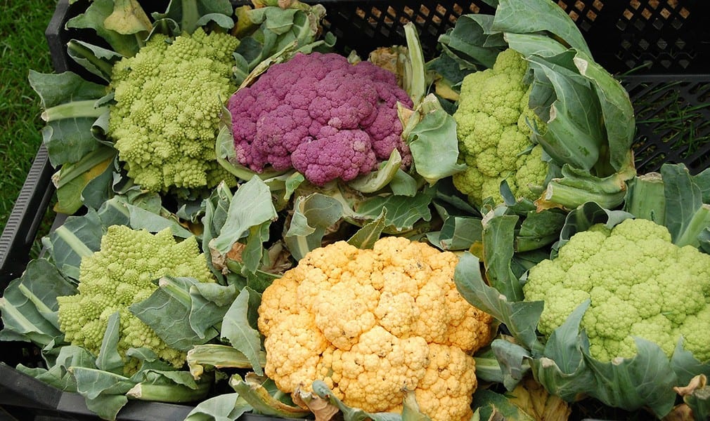 Cauliflower Varieties