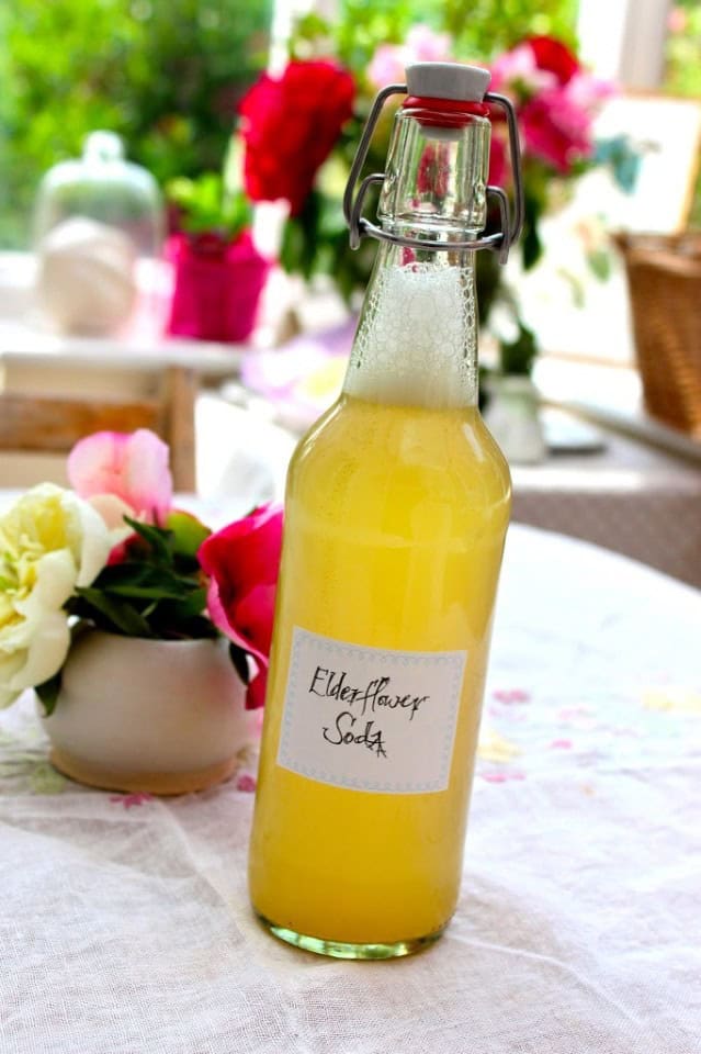 Elderflower Soda