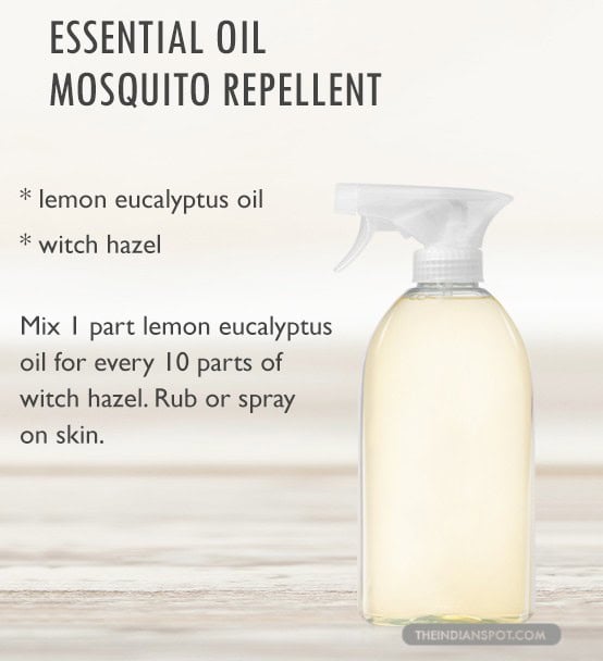 DIY Bug Spray