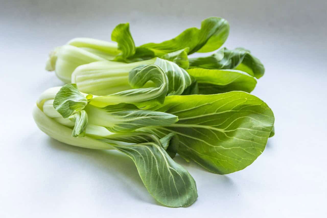 Chinese Cabbage